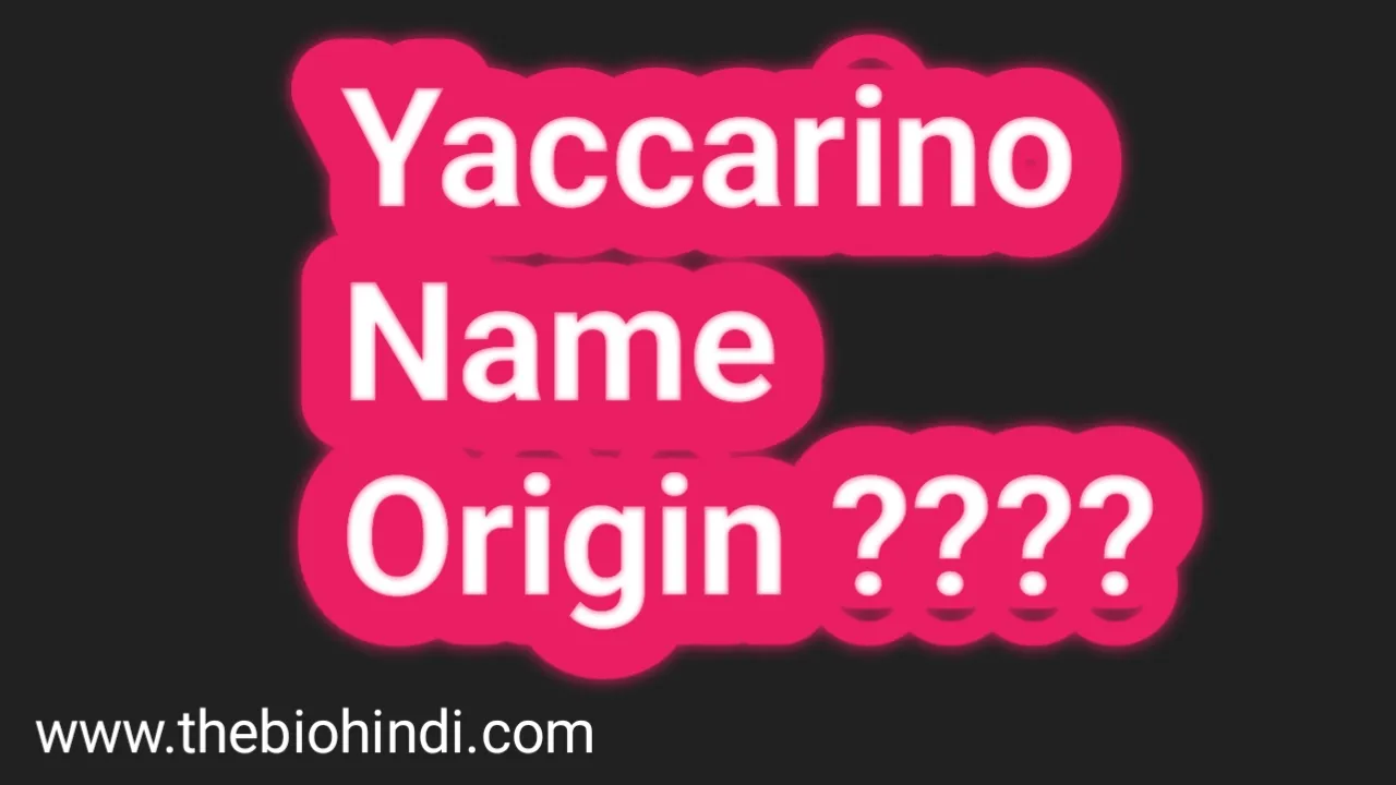 Yaccarino Name Origin
