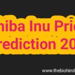 Shiba Inu Price Prediction 2025